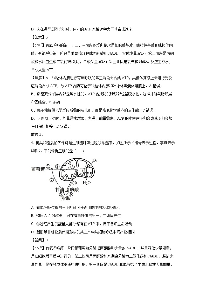 辽宁省重点中学协作校联考2024-2025学年高三上学期期末生物试卷（解析版）第3页