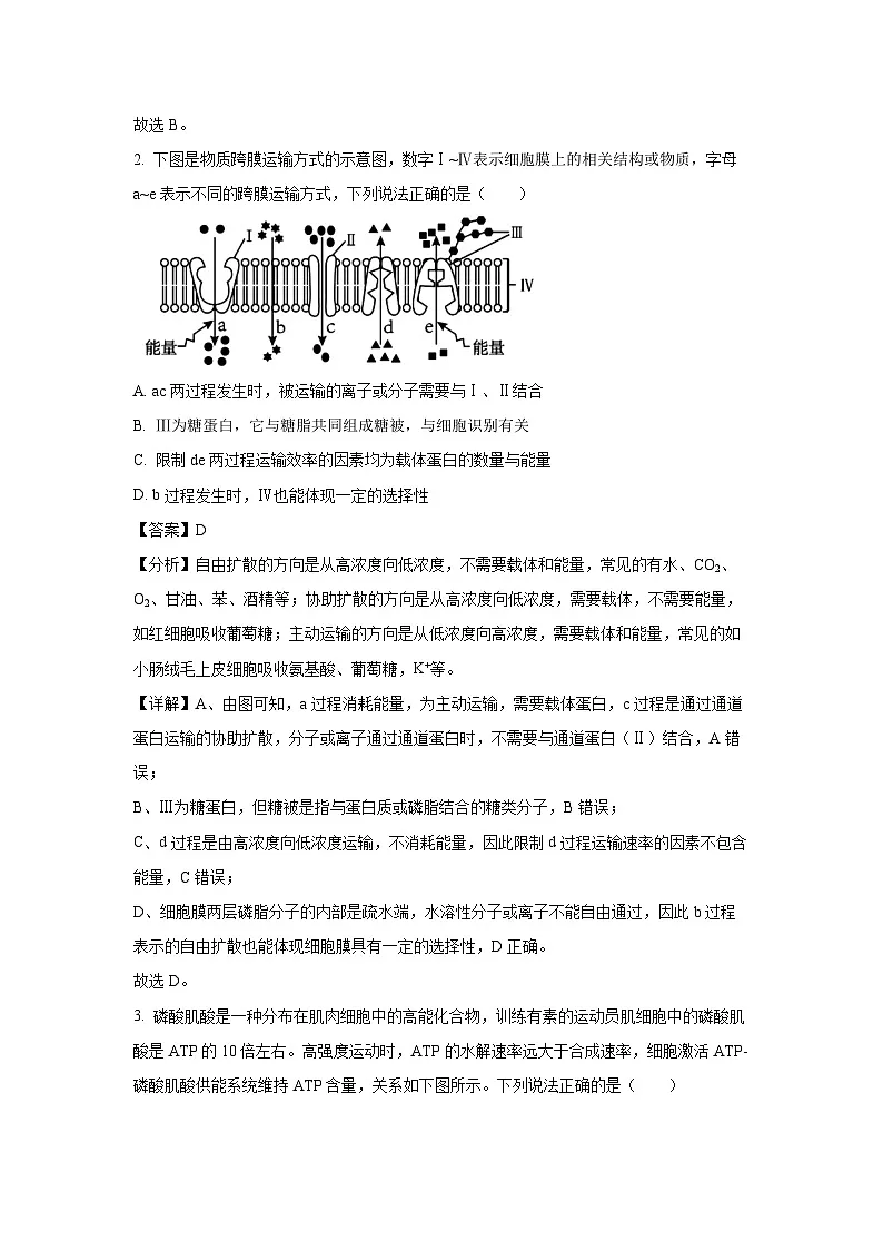 云南省曲靖市会泽县2024-2025学年高二上学期期末生物试卷（解析版）第2页