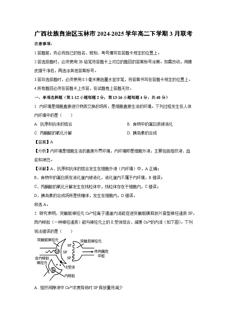 广西壮族自治区玉林市2024-2025学年高二下学期3月联考生物试卷（解析版）第1页