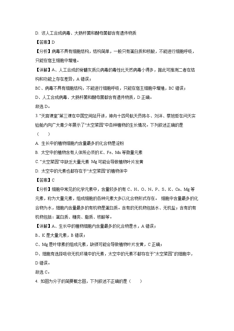 广东省惠州市第一中学2024-2025学年高一下学期开学考试生物试卷（解析版）第2页