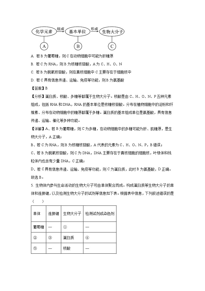 广东省惠州市第一中学2024-2025学年高一下学期开学考试生物试卷（解析版）第3页