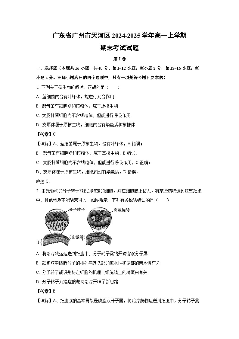 广东省广州市天河区2024-2025学年高一上学期期末考试生物试卷（解析版）第1页