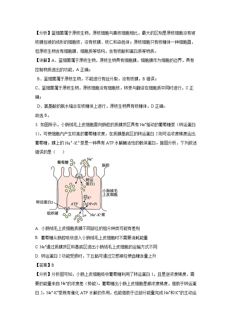 山西省部分学校2024-2025学年高三适应性训练生物试卷（解析版）第2页
