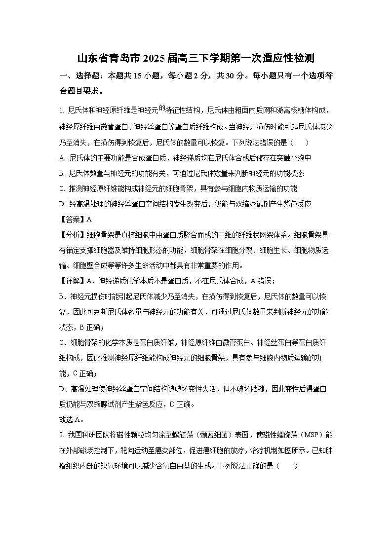 山东省青岛市2025届高三下学期第一次适应性检测生物试卷（解析版）第1页