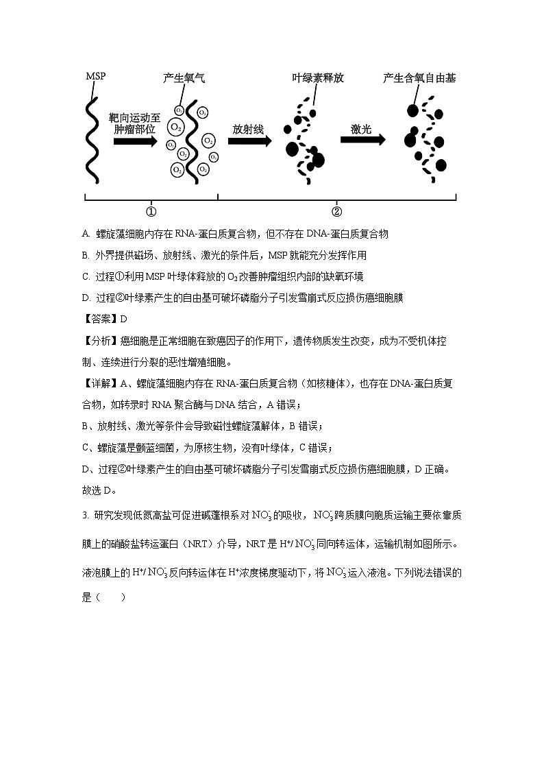 山东省青岛市2025届高三下学期第一次适应性检测生物试卷（解析版）第2页