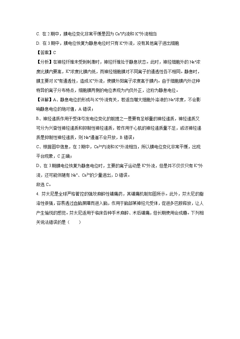 山东省运城市2024-2025学年高二上学期期末考试生物试卷（解析版）第3页