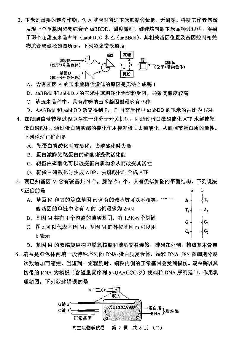 2025年天津市河西区高三二模生物试卷和答案第2页