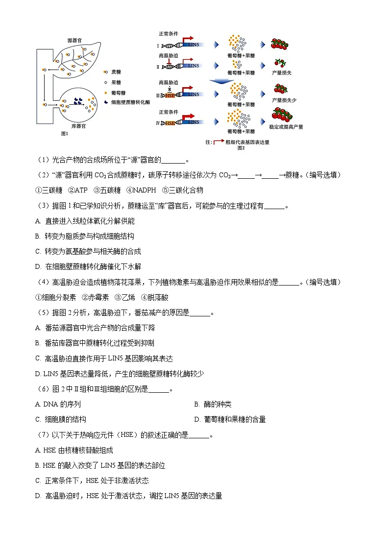 2025届上海市嘉定区高三下学期二模生物试卷 Word版无答案第3页