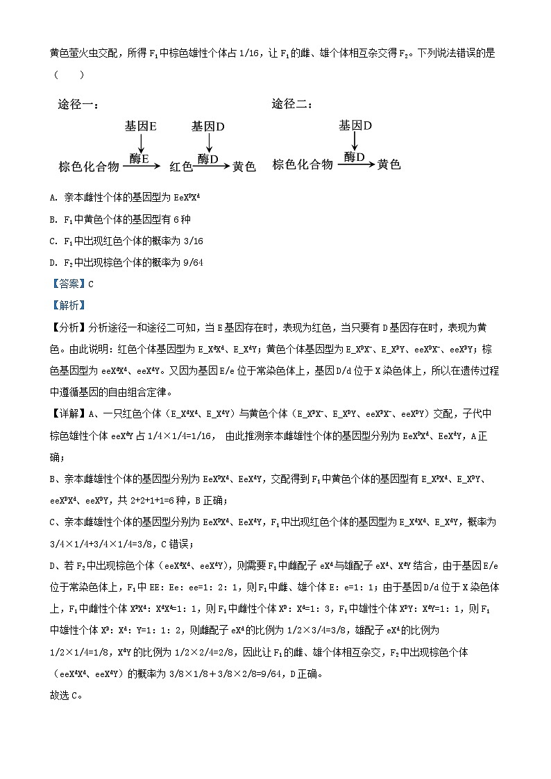 湖南省湖南省部分学校2023_2024学年高一生物下学期7月期末试题含解析第2页