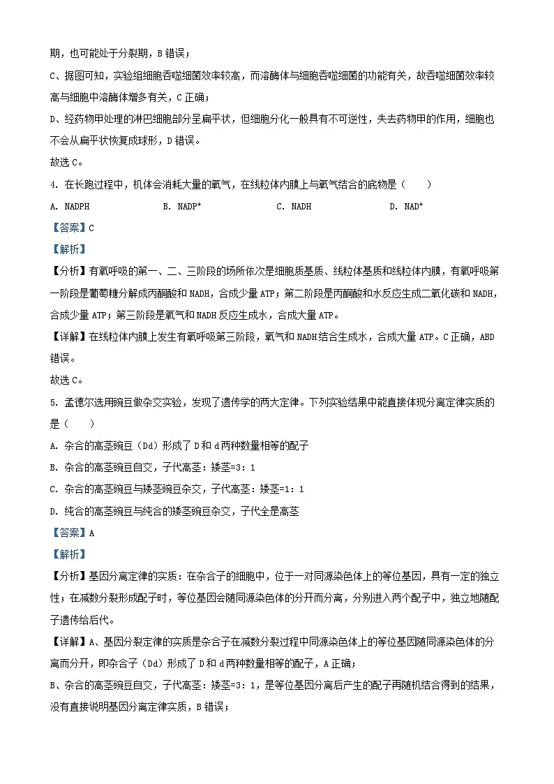 湖南省娄底市2023_2024学年高一生物下学期7月期末考试试题含解析第3页