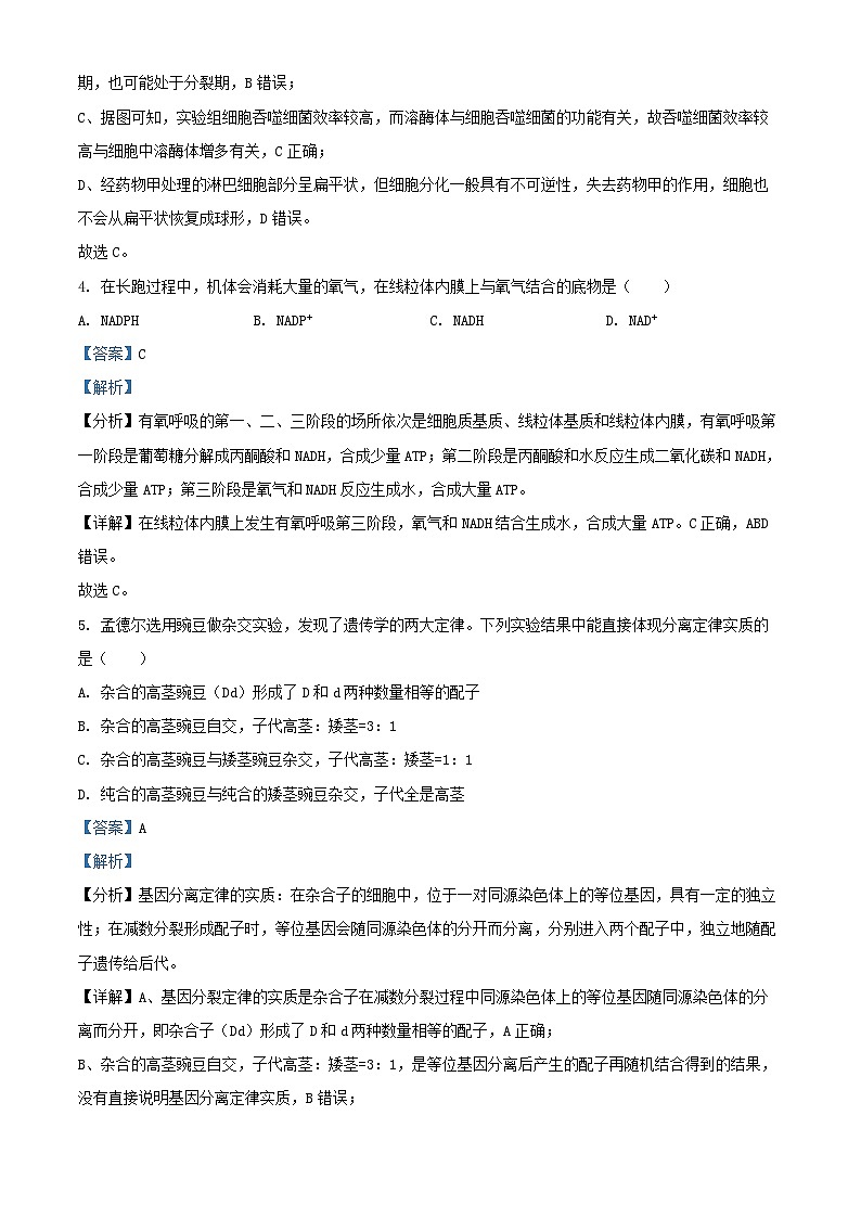 湖南省娄底市2023_2024学年高一生物下学期7月期末考试试题含解析第3页