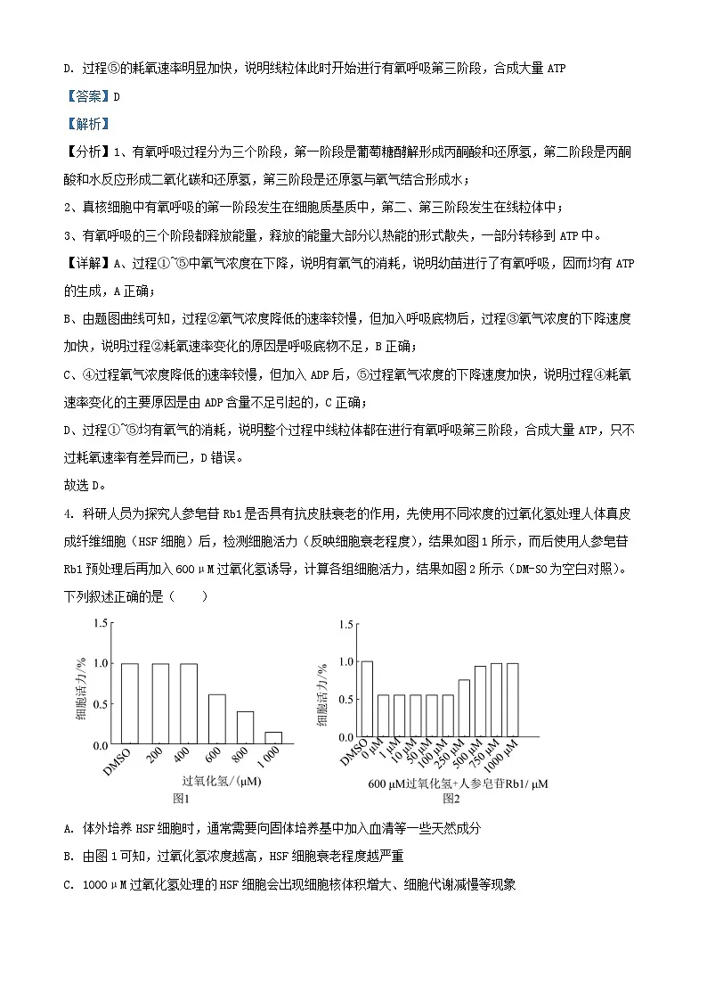 湖南省邵阳市2023_2024学年高二生物下学期7月期末试题含解析第3页