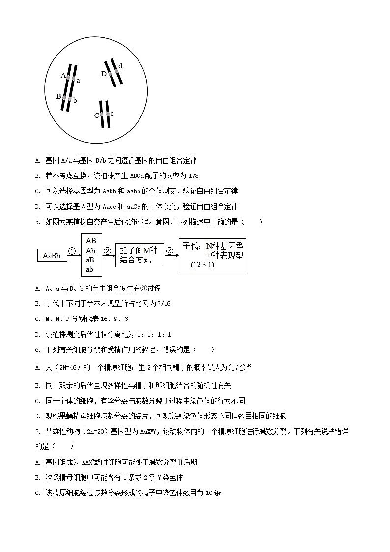 四川省成都市2023_2024学年高一生物下学期6月月考试题含解析第2页