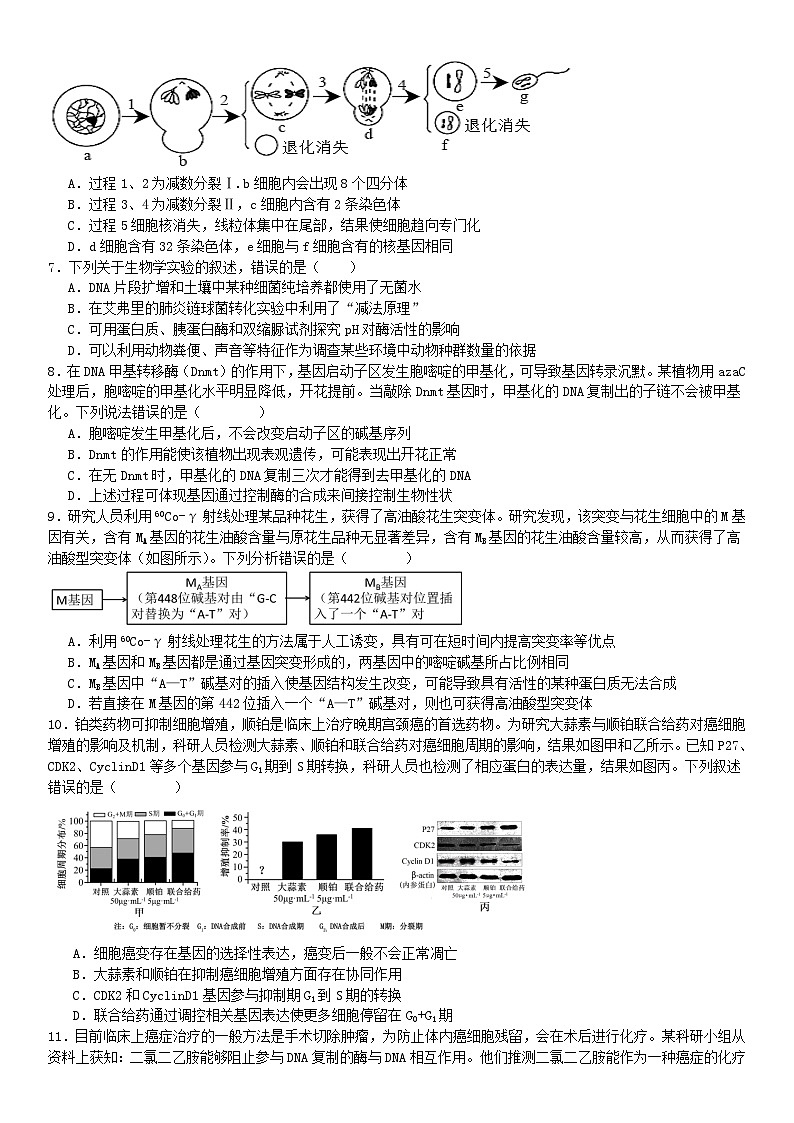 浙江省2023_2024学年高三生物下学期联考试题第2页