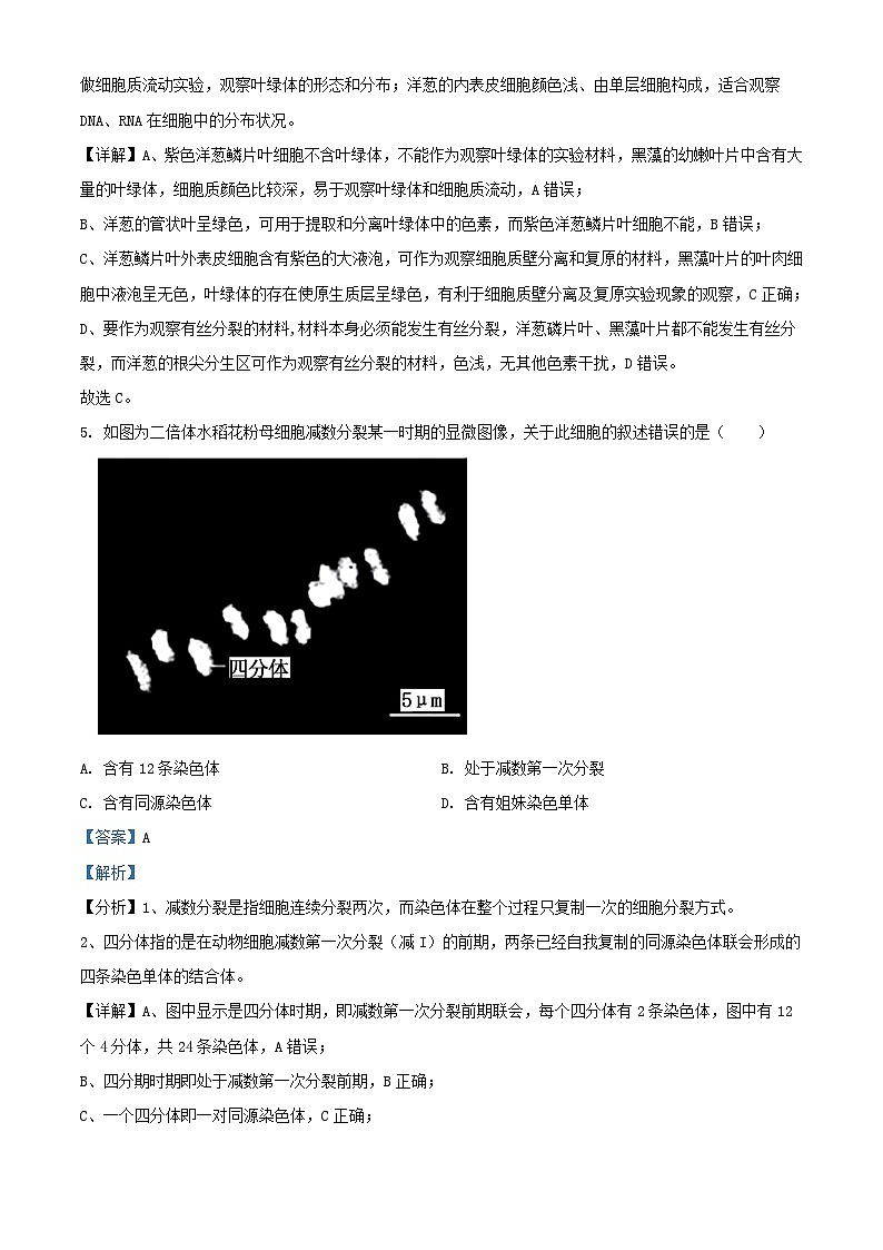 浙江省四校联考2023_2024学年高一生物下学期3月月考试题含解析第3页