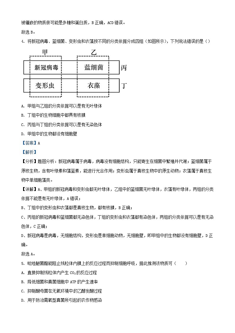 浙江省五校联盟2023_2024学年高三生物下学期3月联考试题含解析第2页