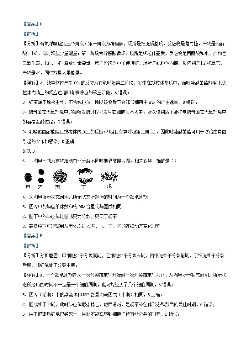 浙江省五校联盟2023_2024学年高三生物下学期3月联考试题含解析第3页