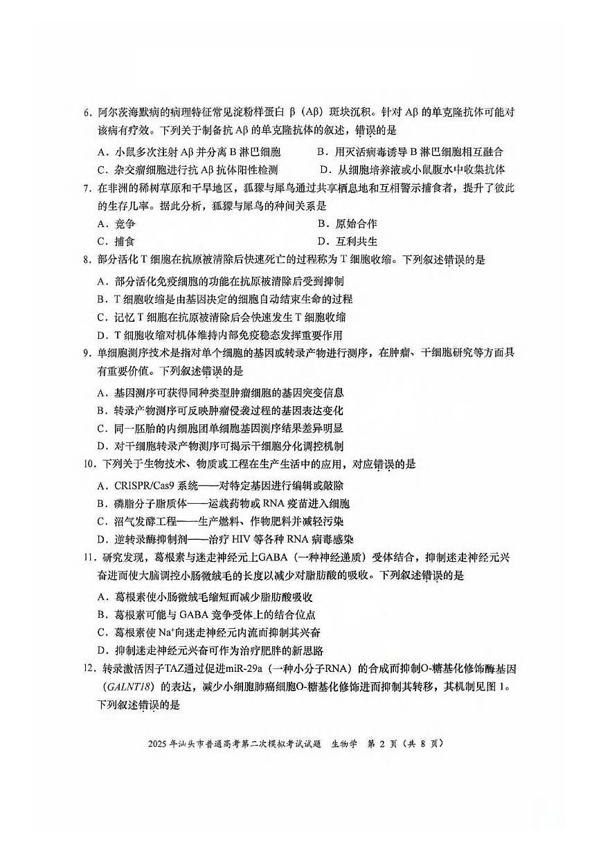生物丨广东省汕头市2025届高三下学期4月第二次模拟生物试卷及答案第2页