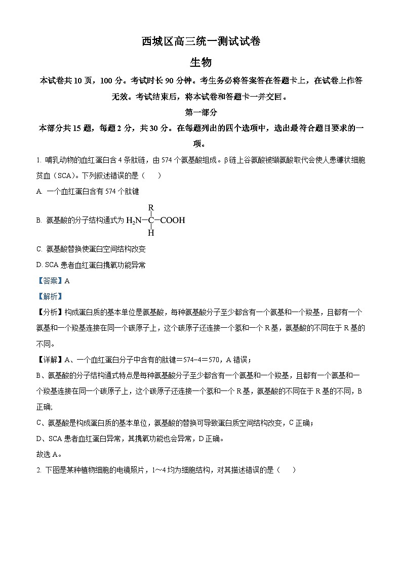 2025届北京市西城区高三统一检测生物试题  Word版含解析第1页