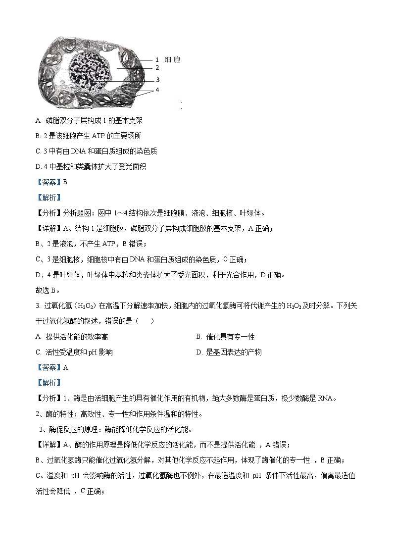 2025届北京市西城区高三统一检测生物试题  Word版含解析第2页