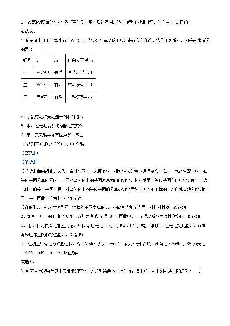 北京市西城区2025届高三下学期4月一模试题 生物  含解析第3页