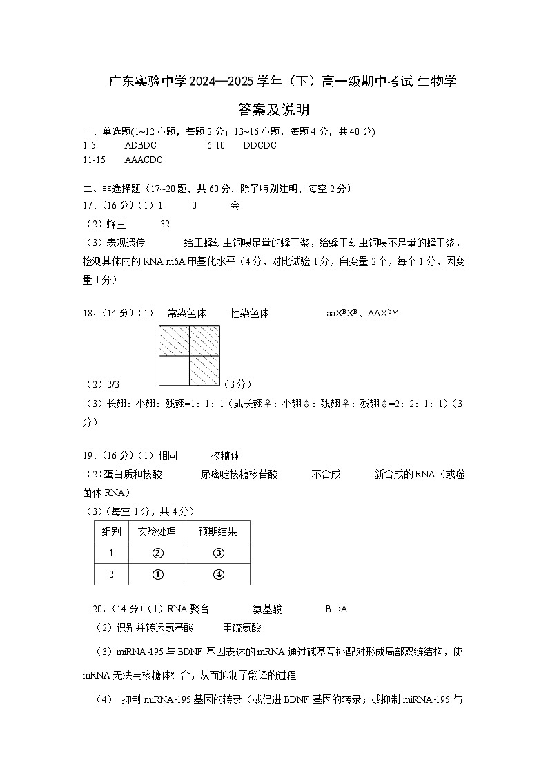 广东实验中学2024—2025学年（下）高一级期中考试 生物学答案及说明第1页