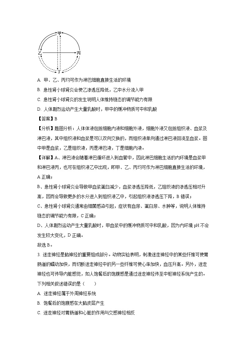 河南省名校大联考2024-2025学年高二上学期12月月考生物试卷（解析版）第2页