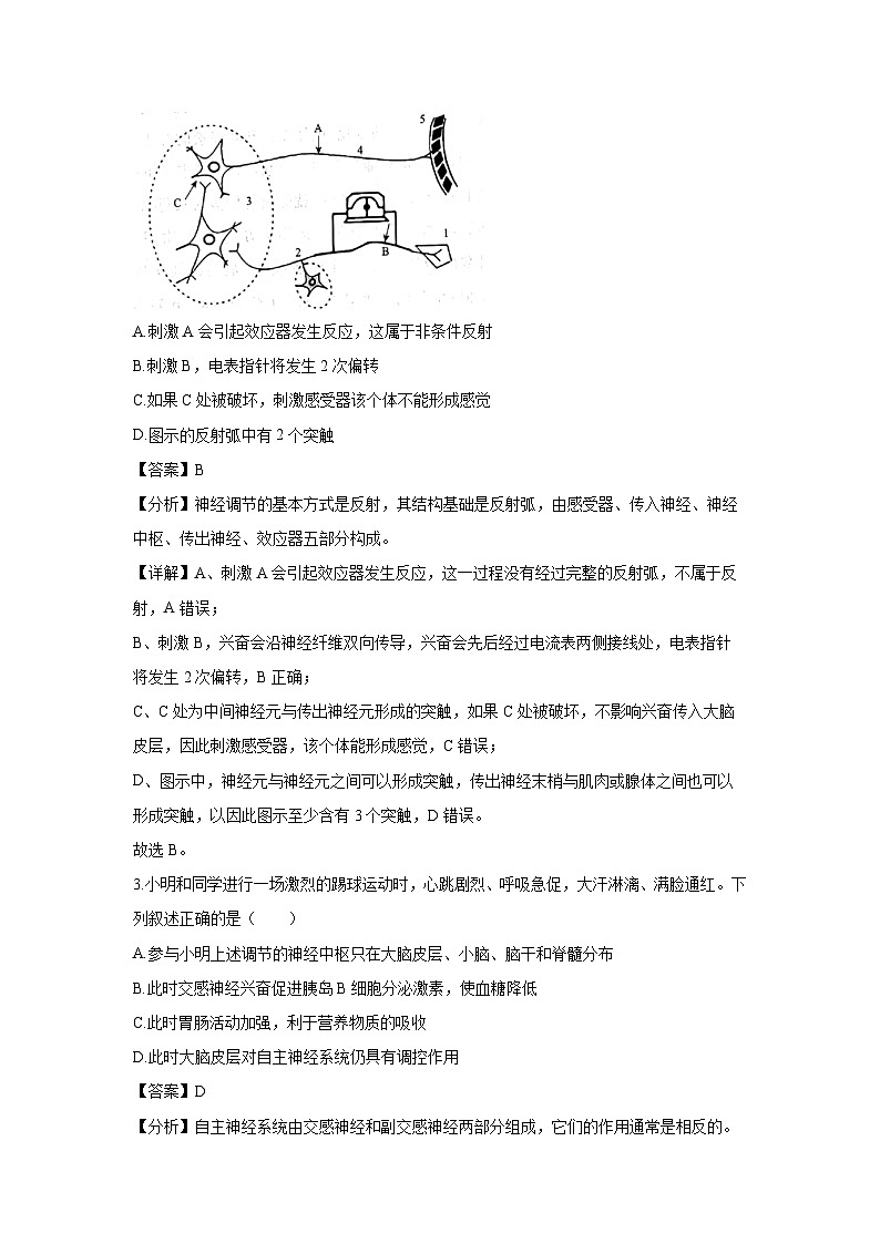 河南省青桐鸣大联考2024—2025学年高二上学期第二次考试生物试卷（解析版）第2页
