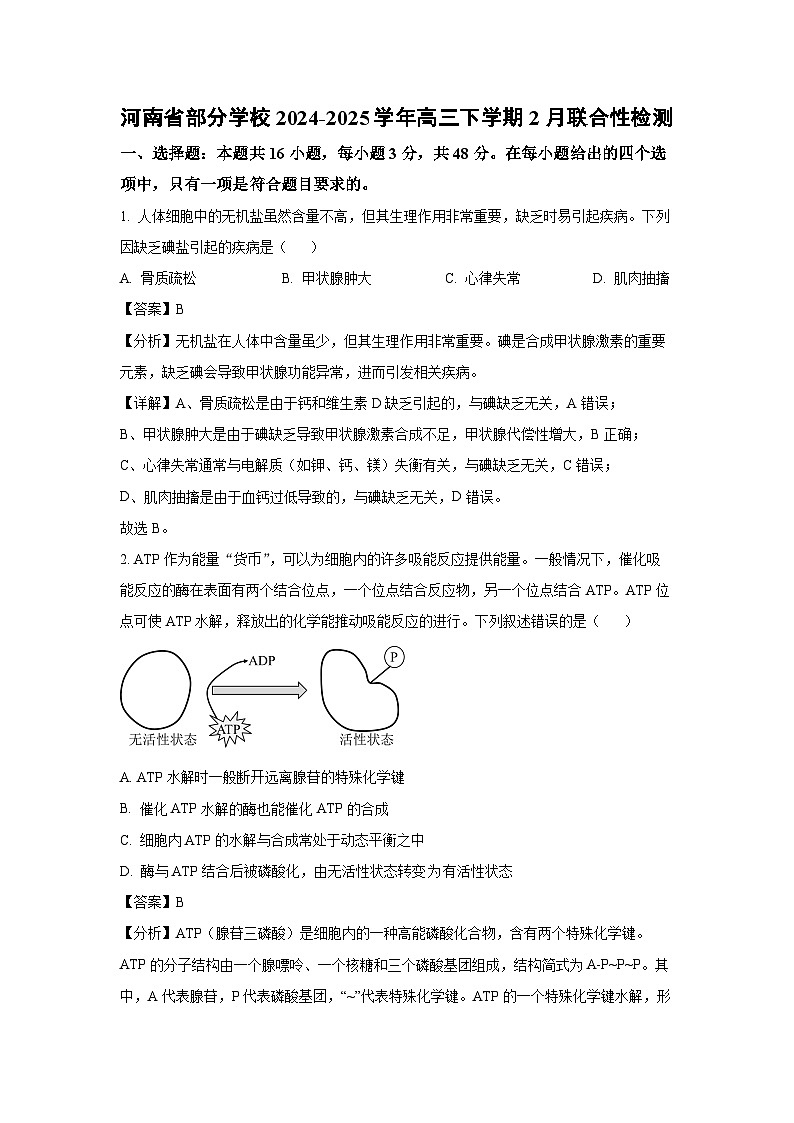 河南省部分学校2024-2025学年高三下学期2月联合性检测生物试卷（解析版）第1页