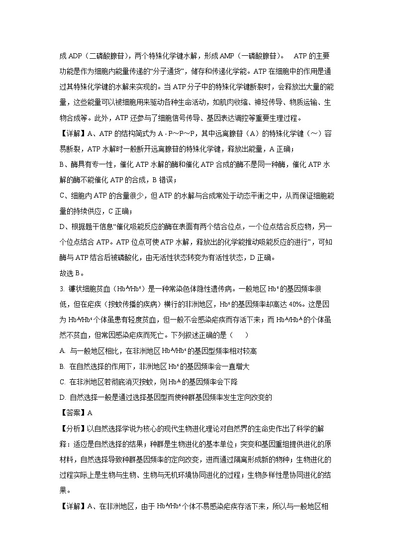 河南省部分学校2024-2025学年高三下学期2月联合性检测生物试卷（解析版）第2页