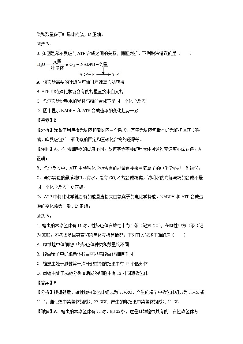 河南省濮阳市2023-2024学年高一下学期5月份联考考生物试卷（解析版）第2页