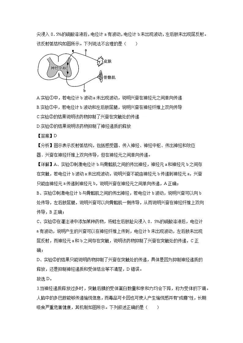 河南省洛阳市2024-2025学年高二上学期期末考试生物试卷（解析版）第2页