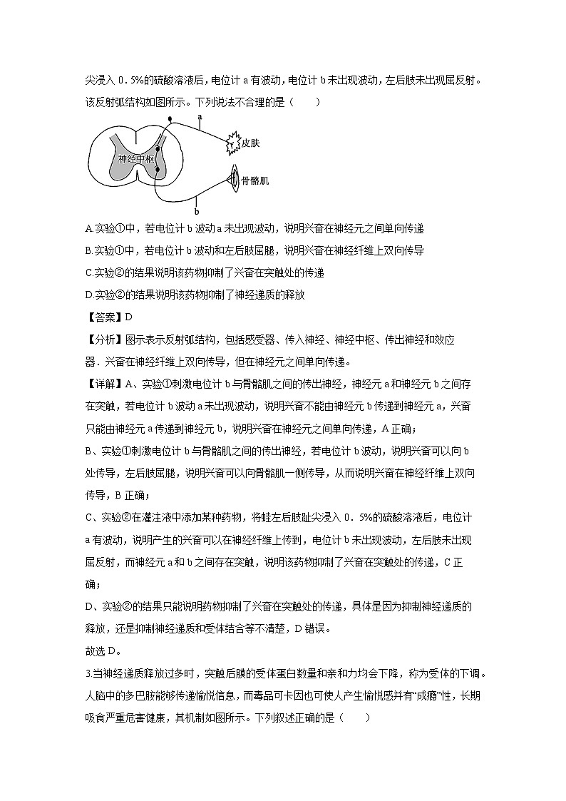 河南省洛阳市2024-2025学年高二上学期期末考试生物试卷（解析版）第2页