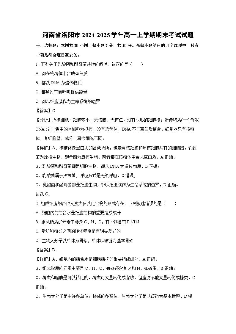 河南省洛阳市2024-2025学年高一上学期期末考试生物试卷（解析版）第1页