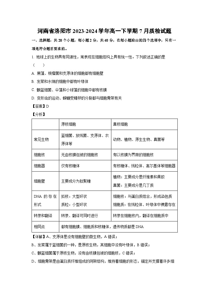 河南省洛阳市2023-2024学年高一下学期7月质检生物试卷（解析版）第1页