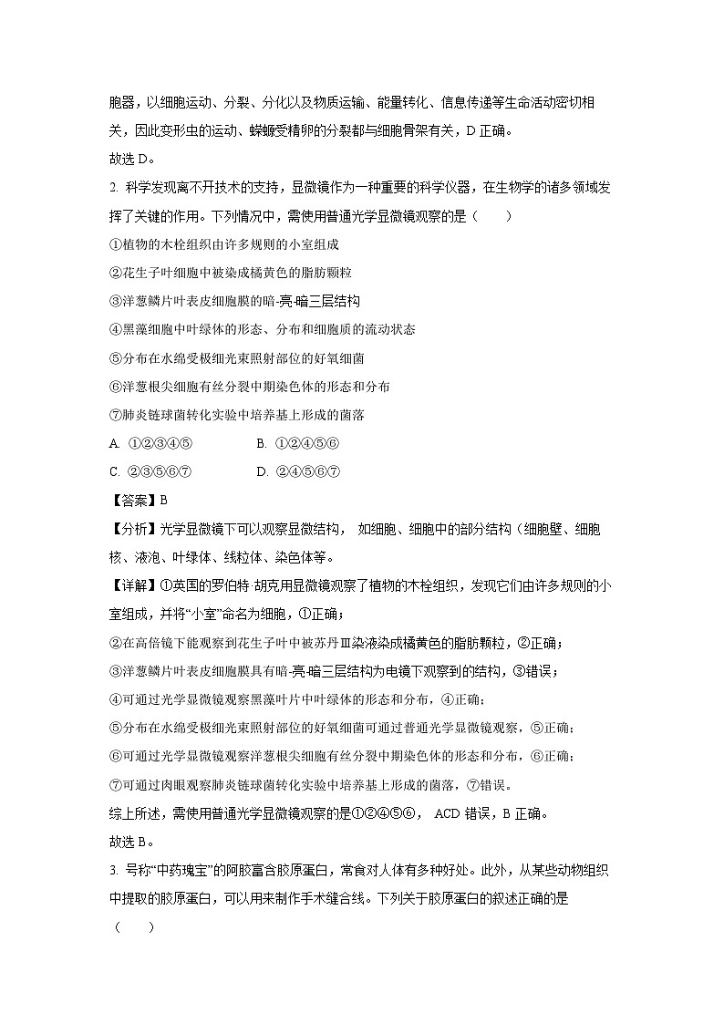 河南省洛阳市2023-2024学年高一下学期7月质检生物试卷（解析版）第2页
