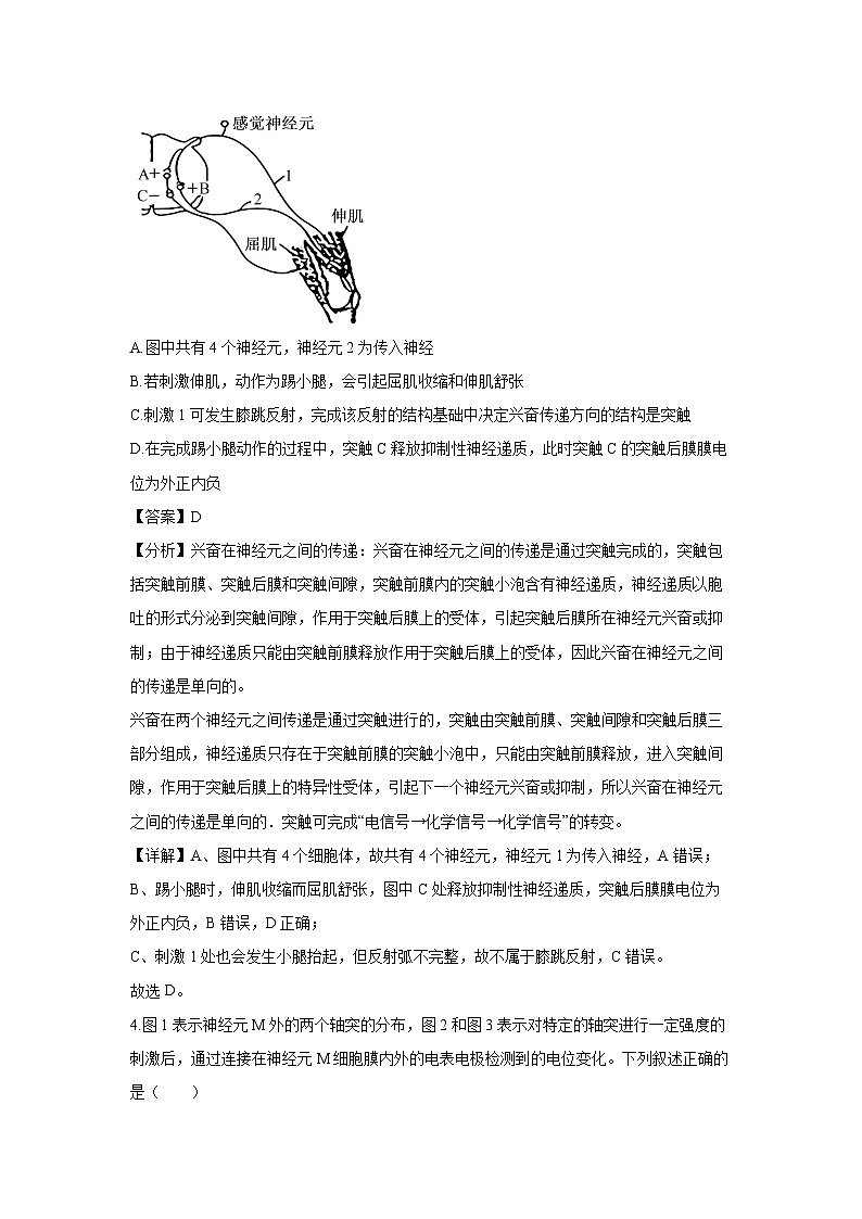 河南省新高中创新联盟TOP二十名校2024-2025学年高二下学期2月调研考试生物试卷（解析版）第3页