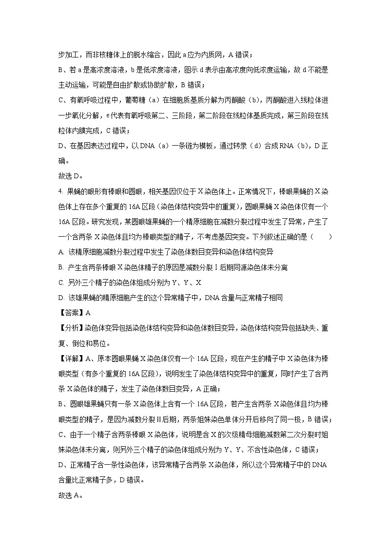 河南省多地2025届高三下学期3月模拟联考生物试卷（解析版）第3页