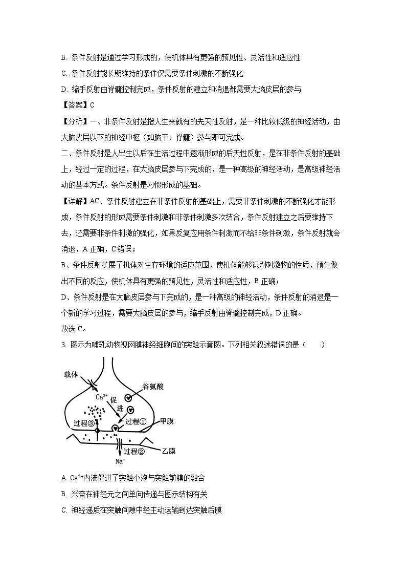 河南省商丘市2024-2025学年高二上学期期末商师大联考生物试卷（解析版）第2页