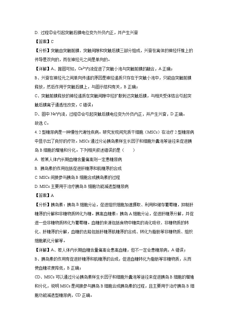 河南省商丘市2024-2025学年高二上学期期末商师大联考生物试卷（解析版）第3页