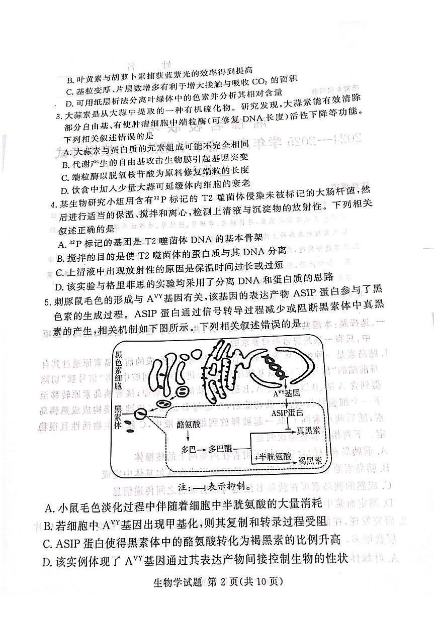 湘豫名校联考2025届高三下学期高考第三次模拟考试生物试卷（含答案）第2页