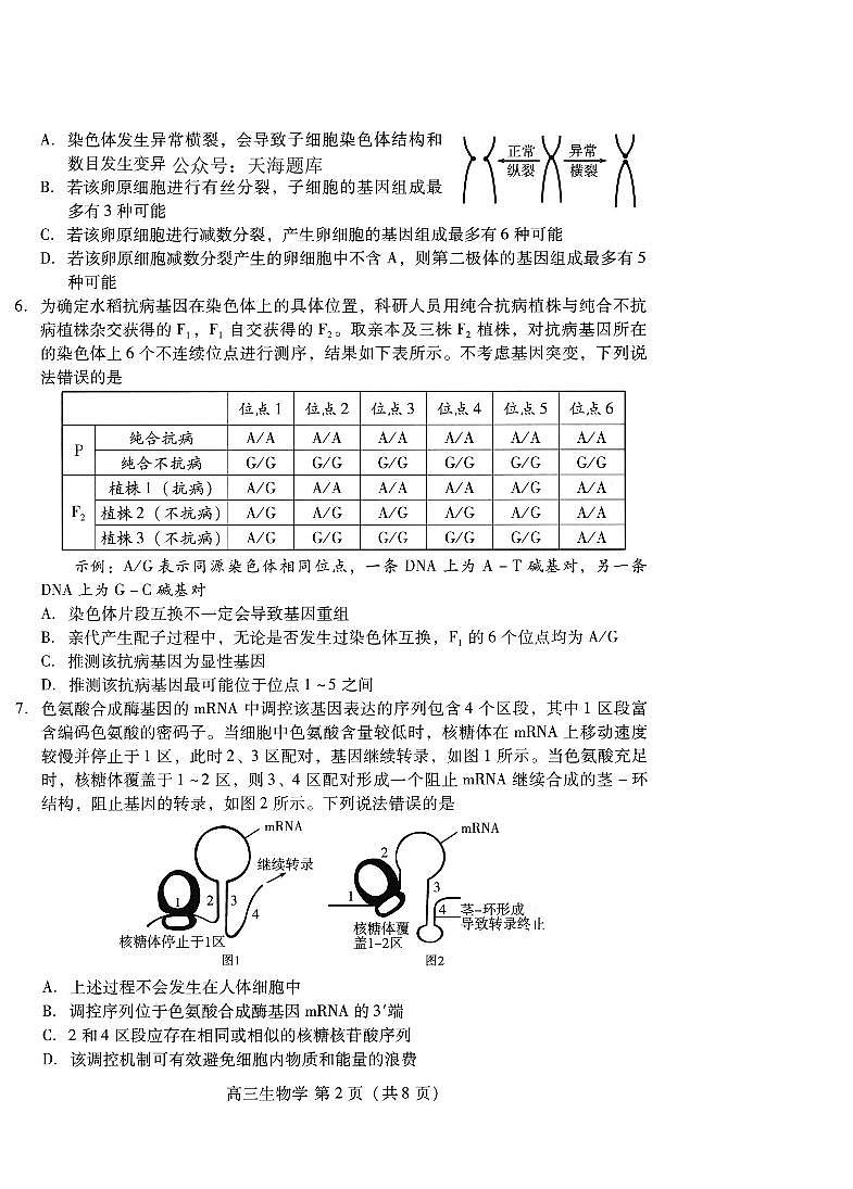 山东省潍坊市2025届高三高考模拟考试生物第2页