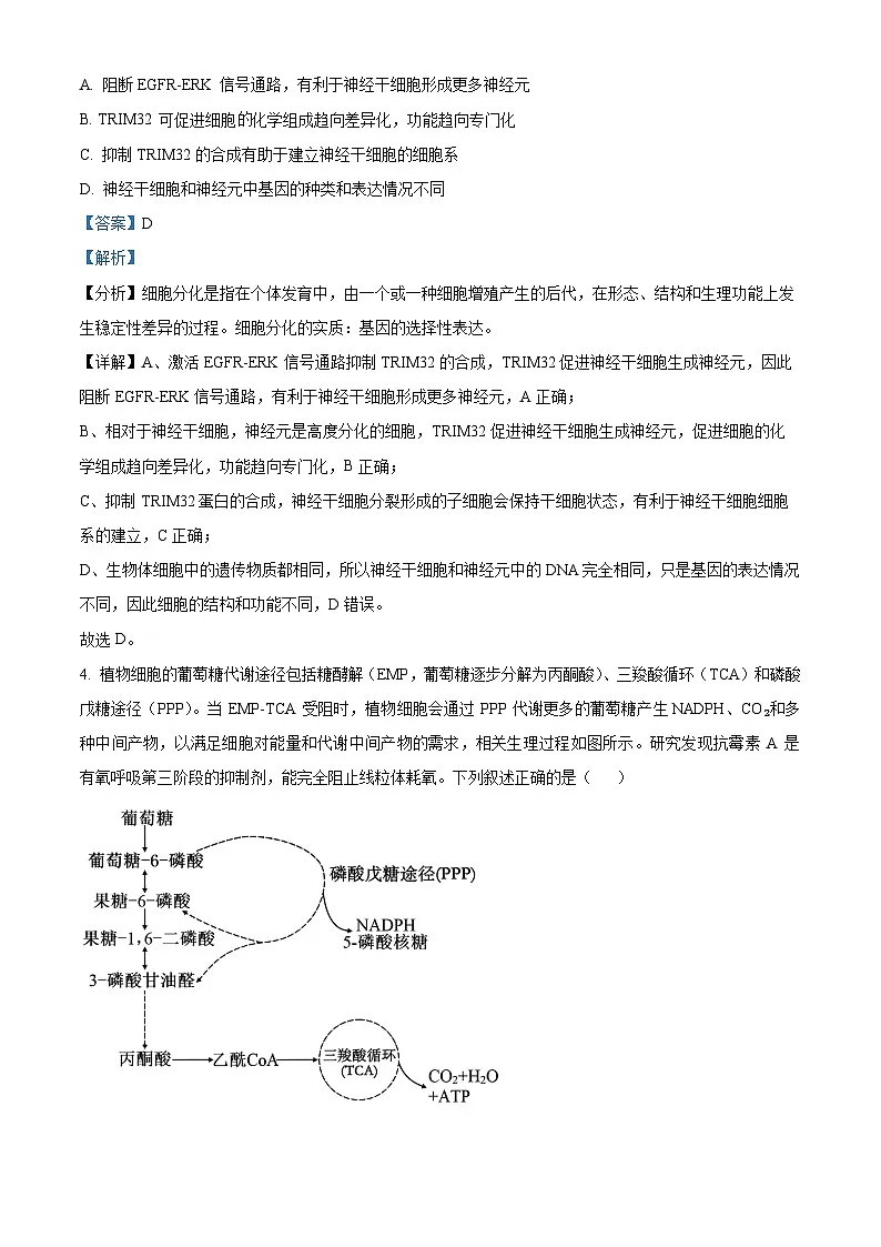 安徽省池州市2025届高三下学期教学质量统一监测（二模）生物学试题 含解析第3页
