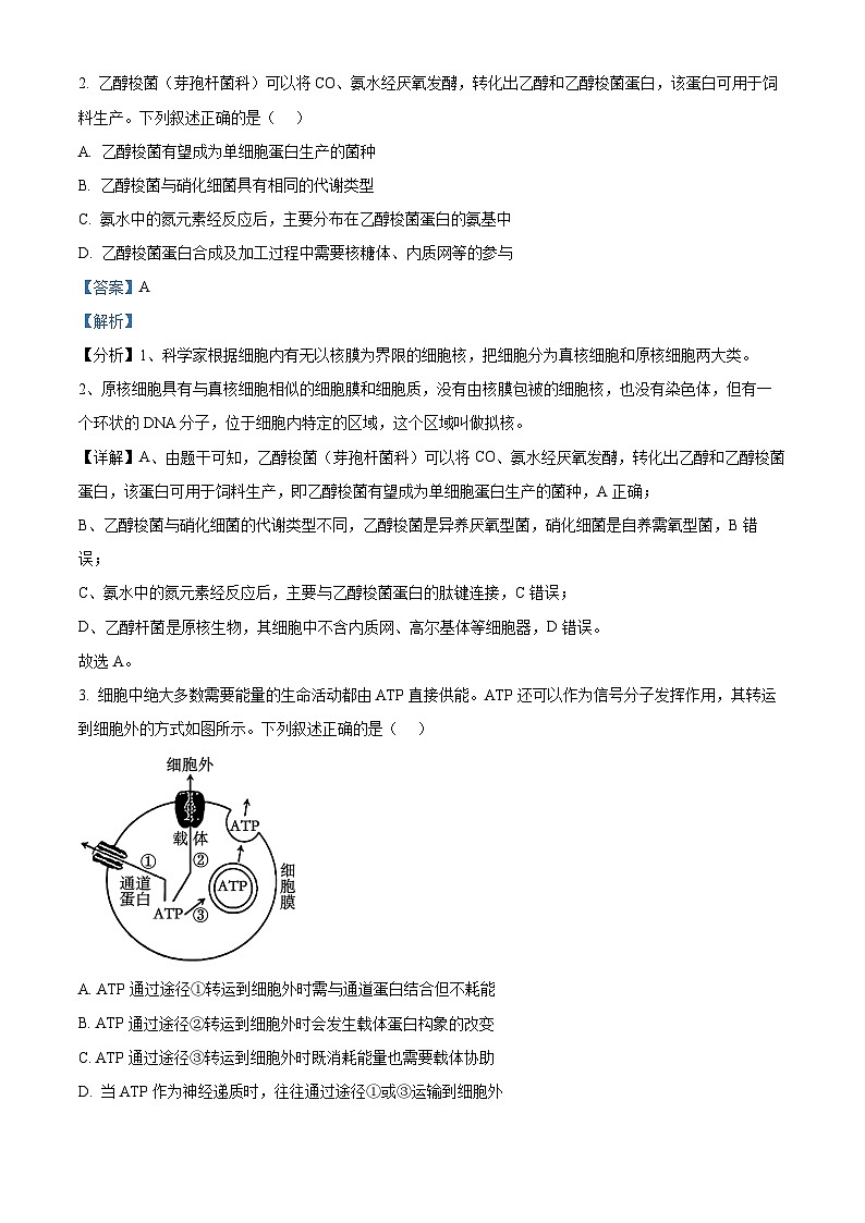 江苏省苏州市2024-2025学年高三上学期1月期末生物试题 含解析第2页