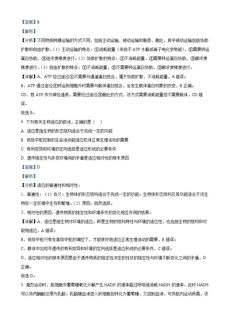 江苏省苏州市2024-2025学年高三上学期1月期末生物试题 含解析第3页