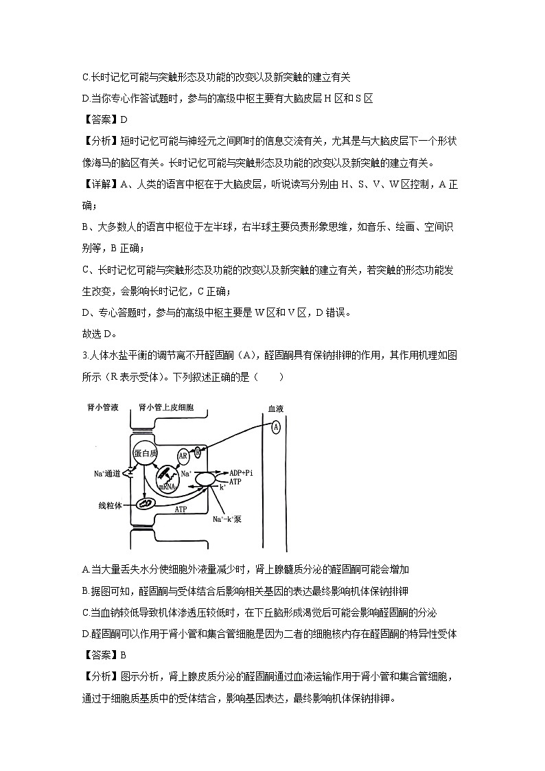 河南省九师联盟2024-2025学年高二上学期12月月考生物试卷（解析版）第2页