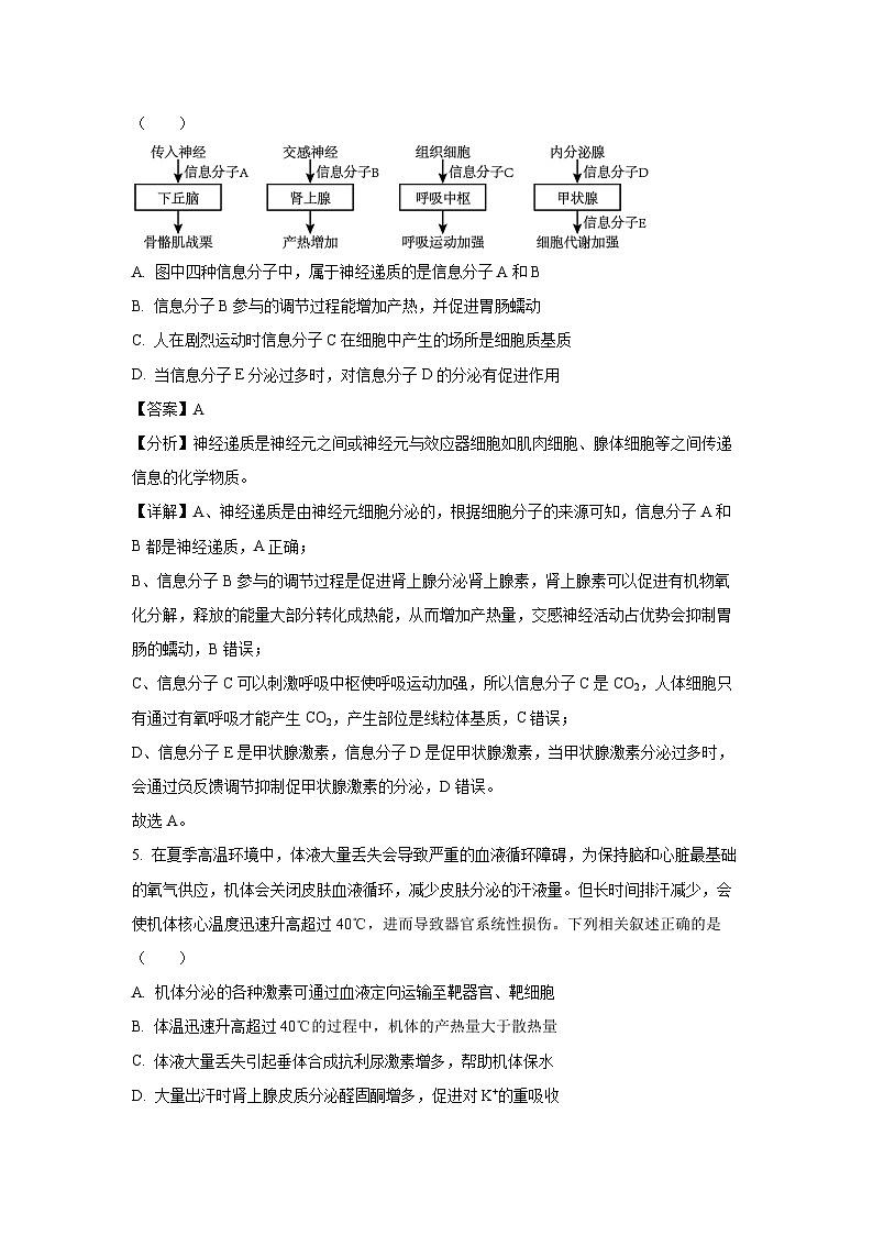 河北省金科大联考2024-2025学年高二上学期 12月质检考试生物试卷（解析版）第3页