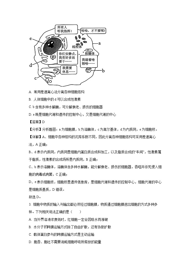 河北省邯郸市部分名校2024-2025学年高三下学期开学考试生物试卷（解析版）第2页