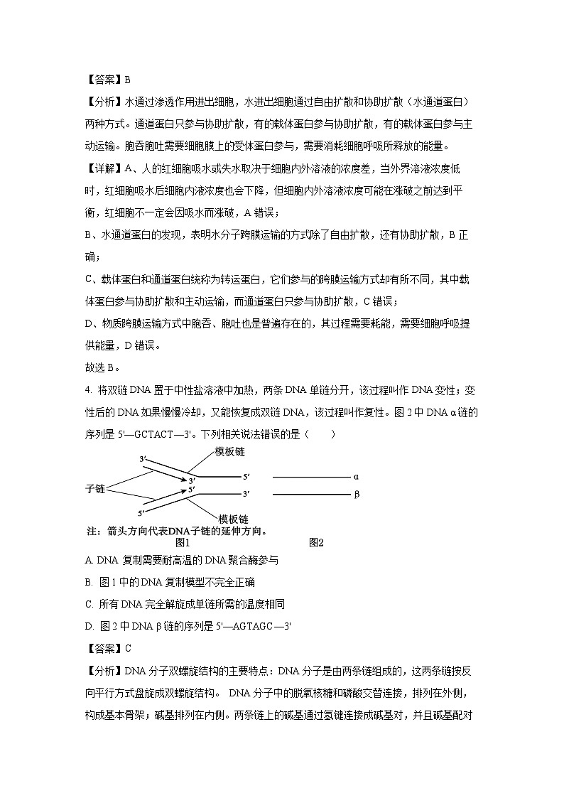 河北省邯郸市部分名校2024-2025学年高三下学期开学考试生物试卷（解析版）第3页