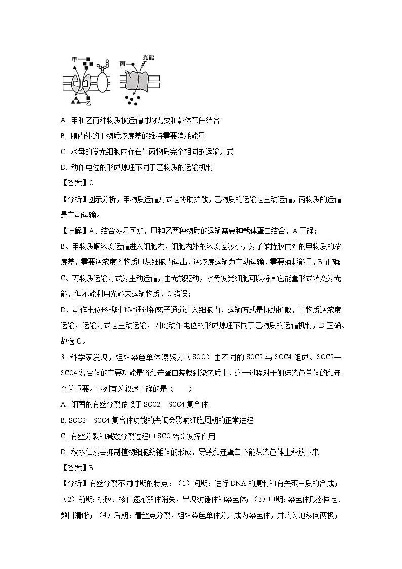 河北省邯郸市沧衡八县联考2025届高三一模[高考模拟]生物试卷（解析版）第2页